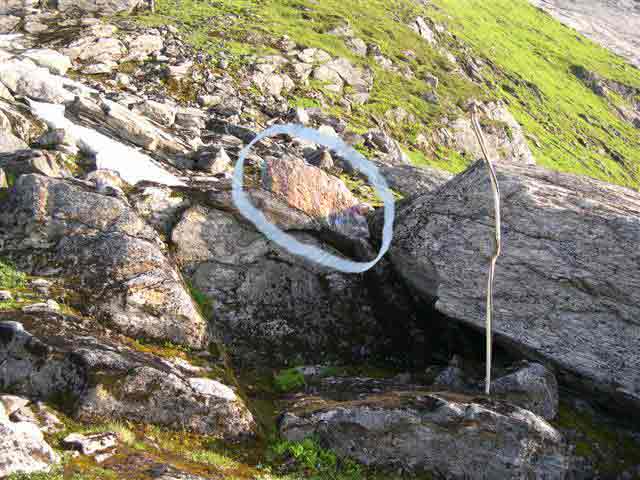 wolfs lair with engraved stone